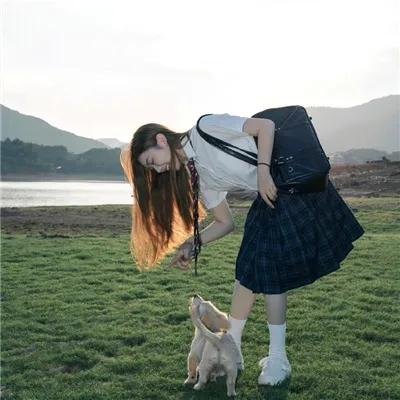 羊狼共和国：猪事大急